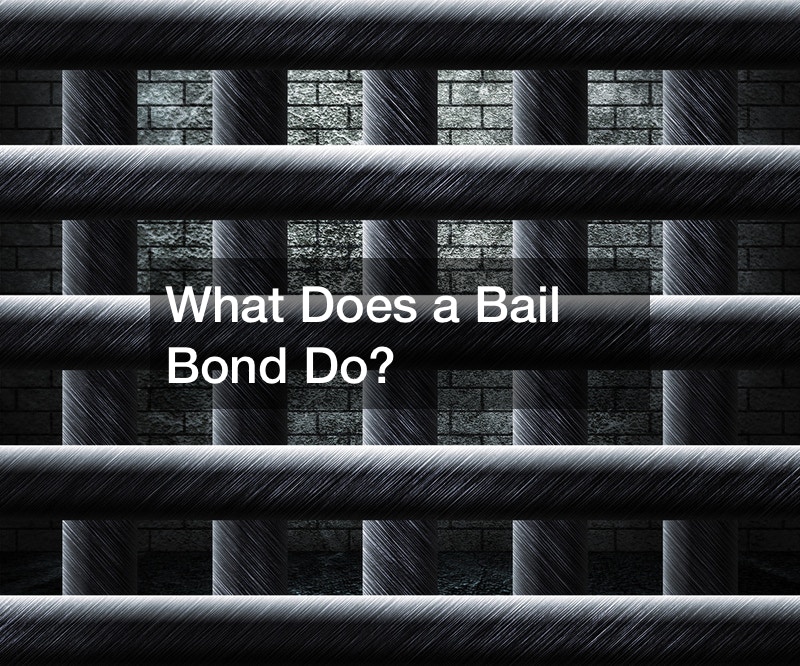 what-does-a-bail-bond-do-write-brave