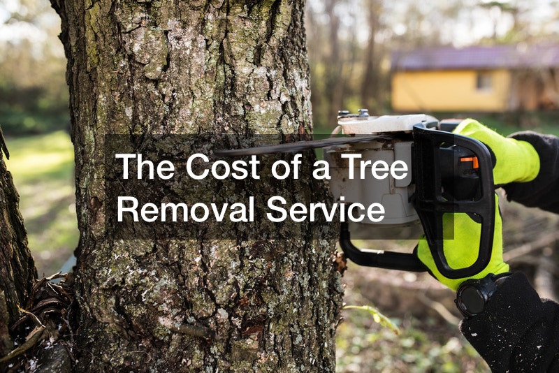 The Cost of a Tree Removal Service