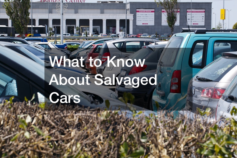 What to Know About Salvaged Cars