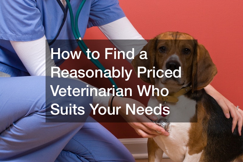 How to Find a Reasonably Priced Veterinarian Who Suits Your Needs